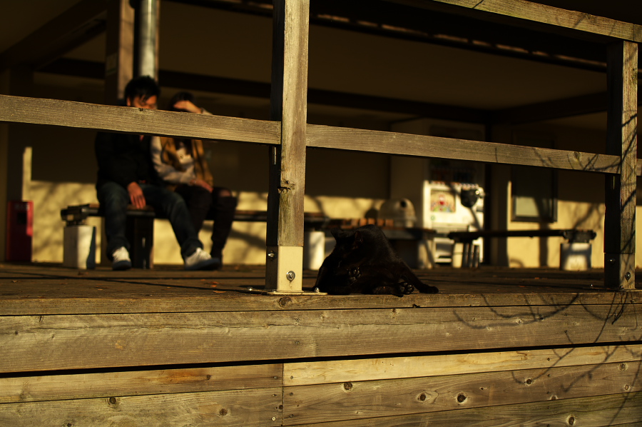 IMGP0065.jpg(294334 byte)