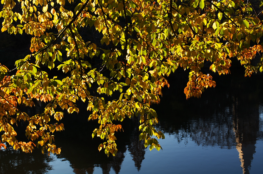 IMGP0070.jpg(586378 byte)