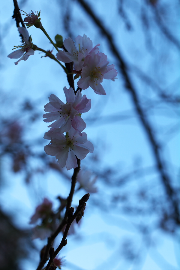 IMGP0079.jpg(201473 byte)