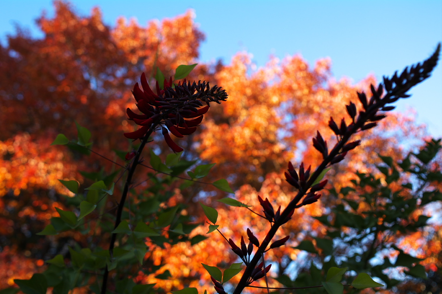 IMGP0097.jpg(297610 byte)