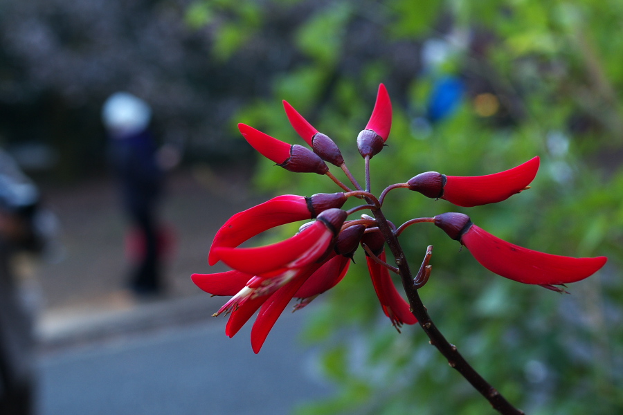 IMGP0101.jpg(210883 byte)