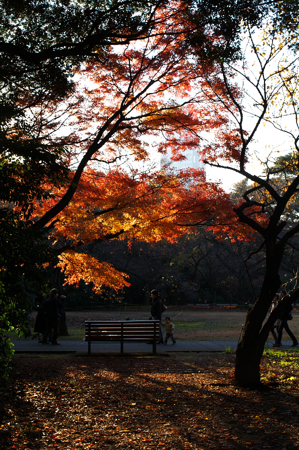 IMGP0106.jpg(680594 byte)