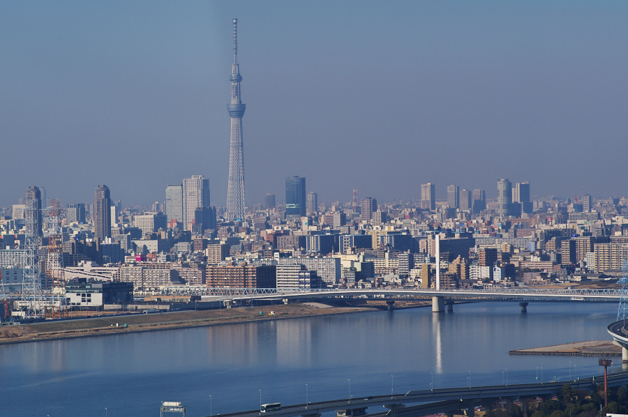 IMGP0049.jpg(690146 byte)