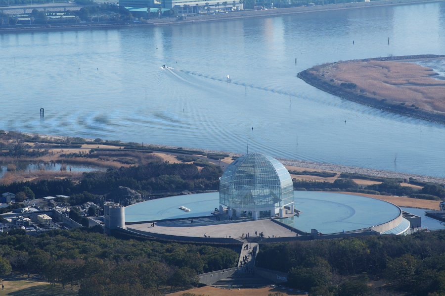 IMGP0056.jpg(783318 byte)