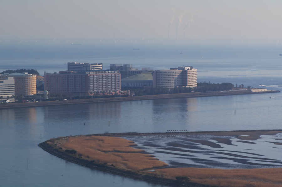 IMGP0089.jpg(540788 byte)