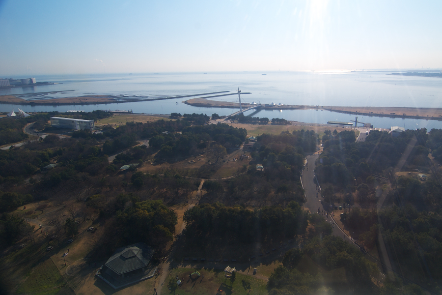 IMGP0094.jpg(528648 byte)