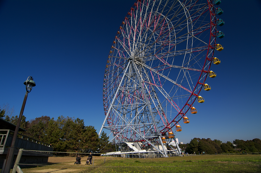 IMGP0242.jpg(852685 byte)