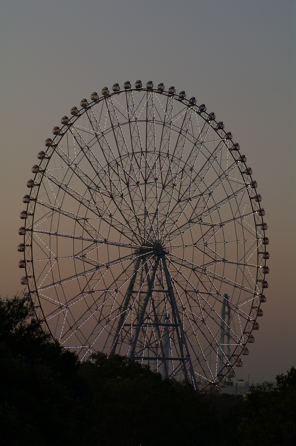 IMGP0238.jpg(659452 byte)