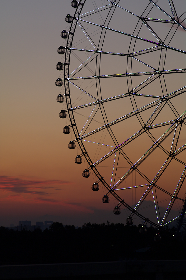 IMGP0247.jpg(575653 byte)