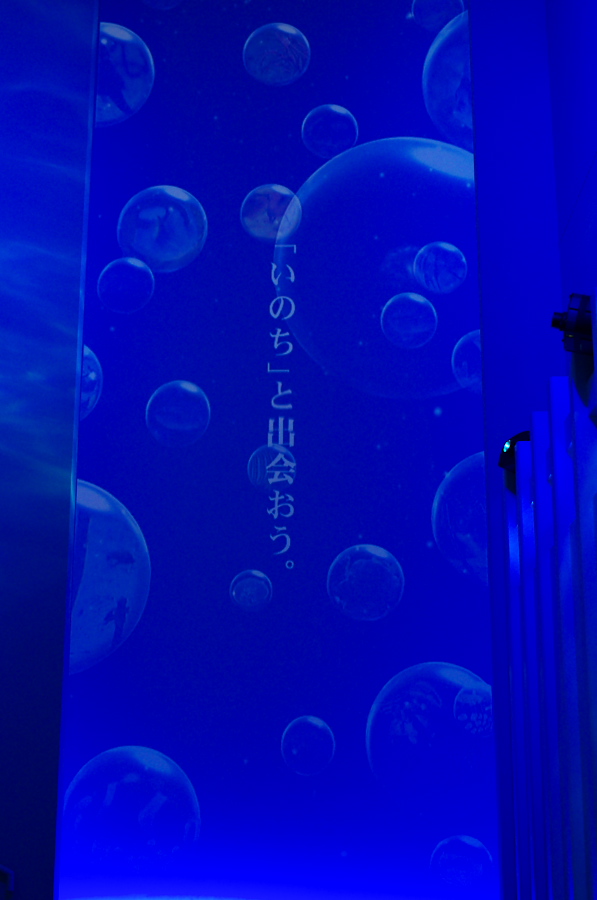 IMGP9325.jpg(175885 byte)