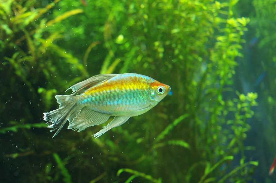 IMGP9341.jpg(279166 byte)