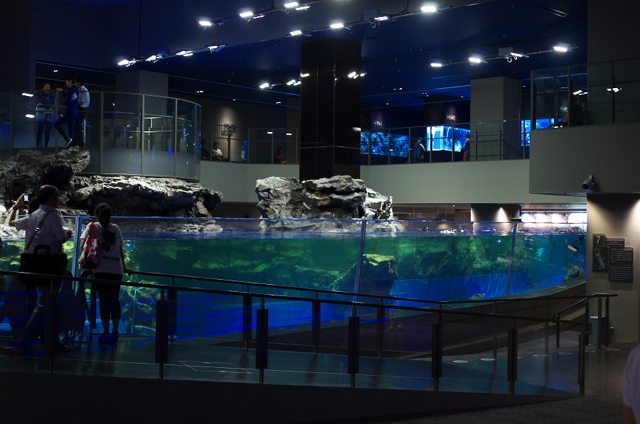 IMGP9352.jpg(286658 byte)