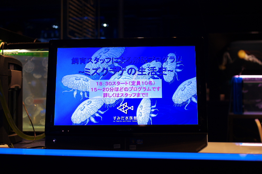 IMGP9361.jpg(260121 byte)