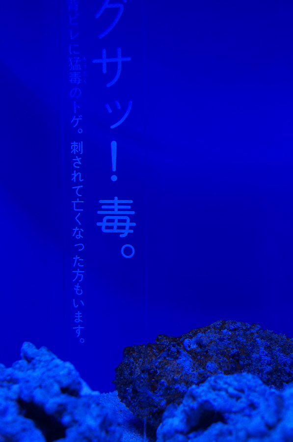 IMGP9387.jpg(156122 byte)