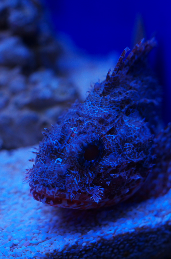 IMGP9390.jpg(267439 byte)