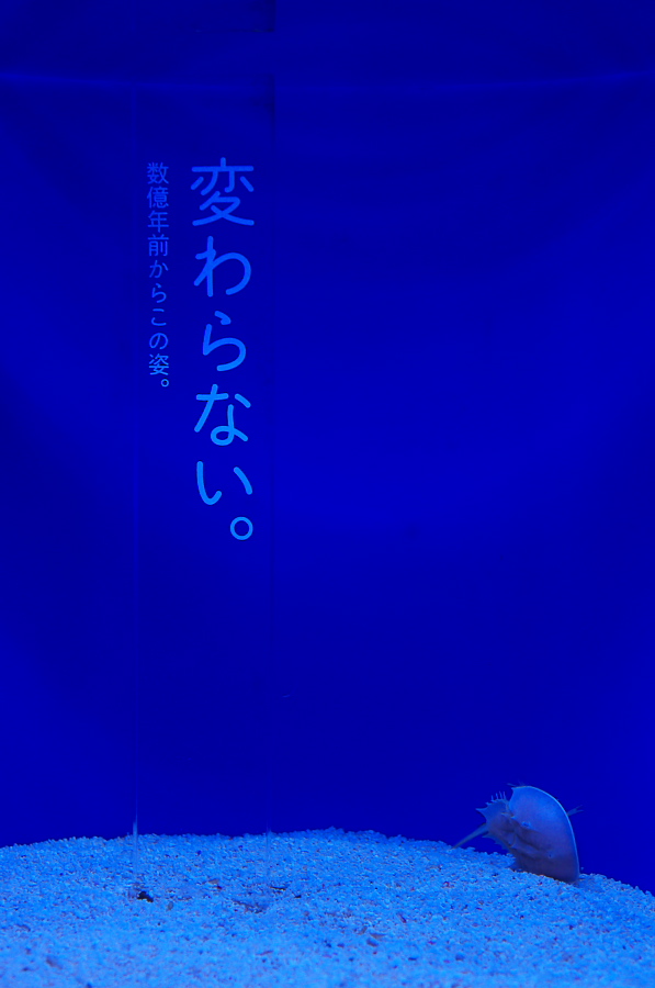 IMGP9404.jpg(151393 byte)