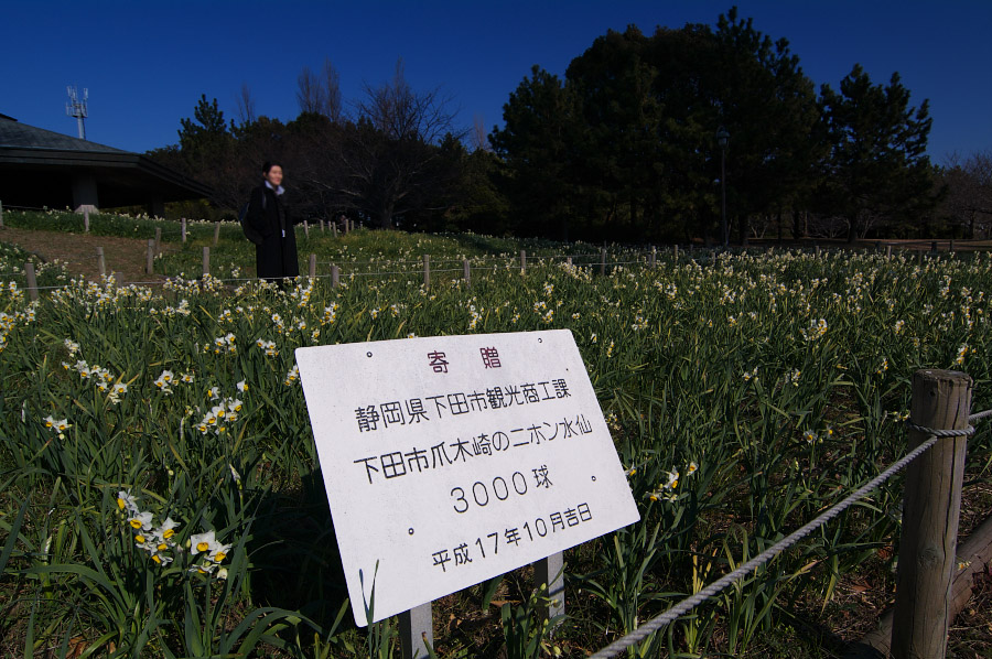 IMGP0115.jpg(931739 byte)