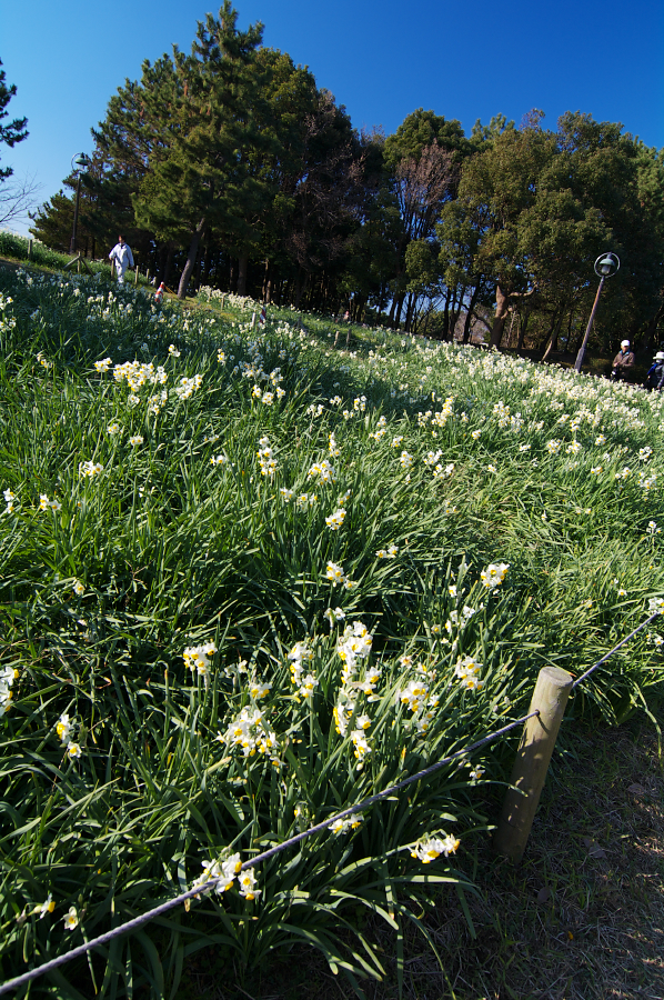 IMGP0120.jpg(1211251 byte)