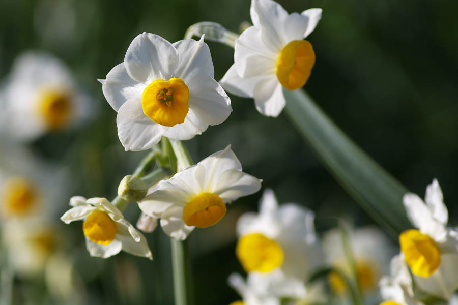 IMGP0134_1.jpg(438726 byte)