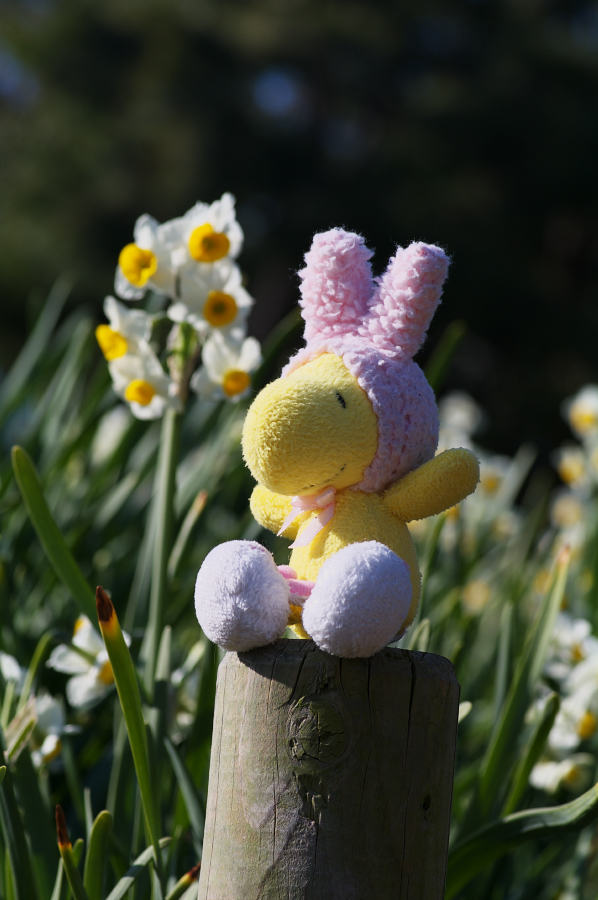 IMGP0139.jpg(541323 byte)