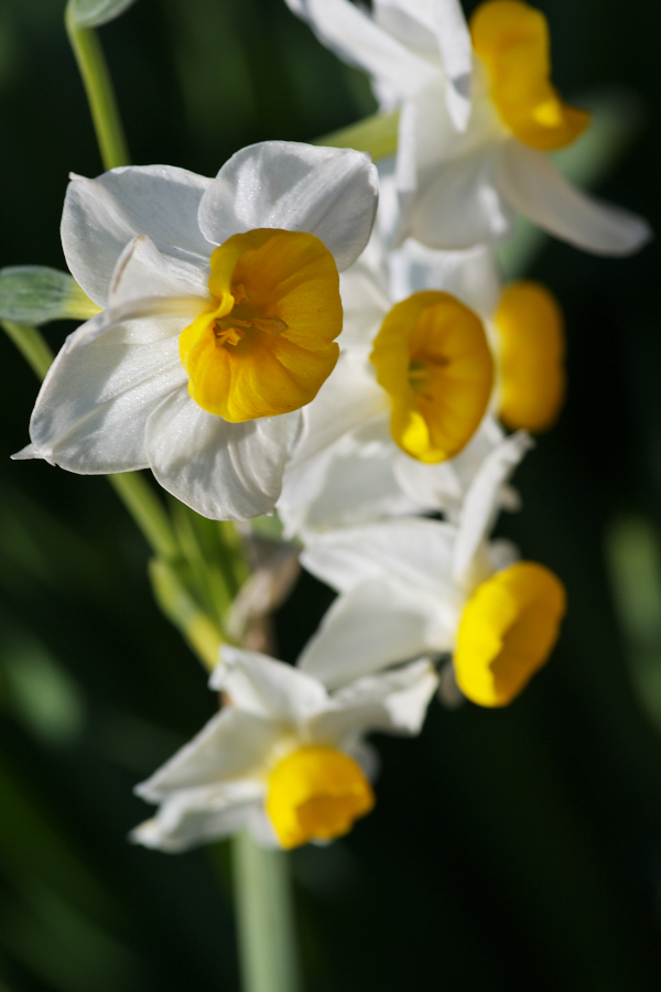 IMGP0148.jpg(483758 byte)