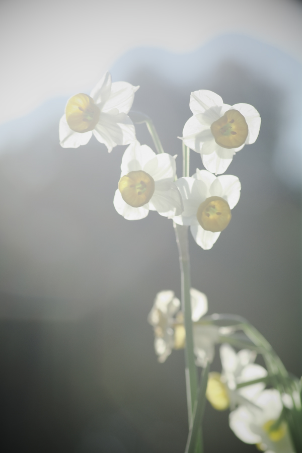 IMGP0159.jpg(218730 byte)