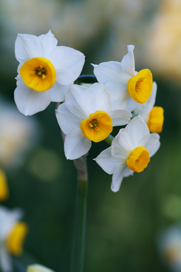 IMGP0189_1.jpg(641611 byte)