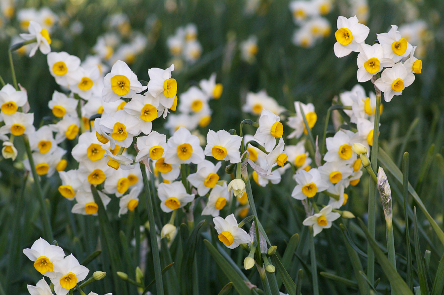 IMGP0211_1.jpg(766656 byte)