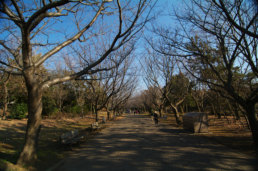 IMGP0248.jpg(1255457 byte)