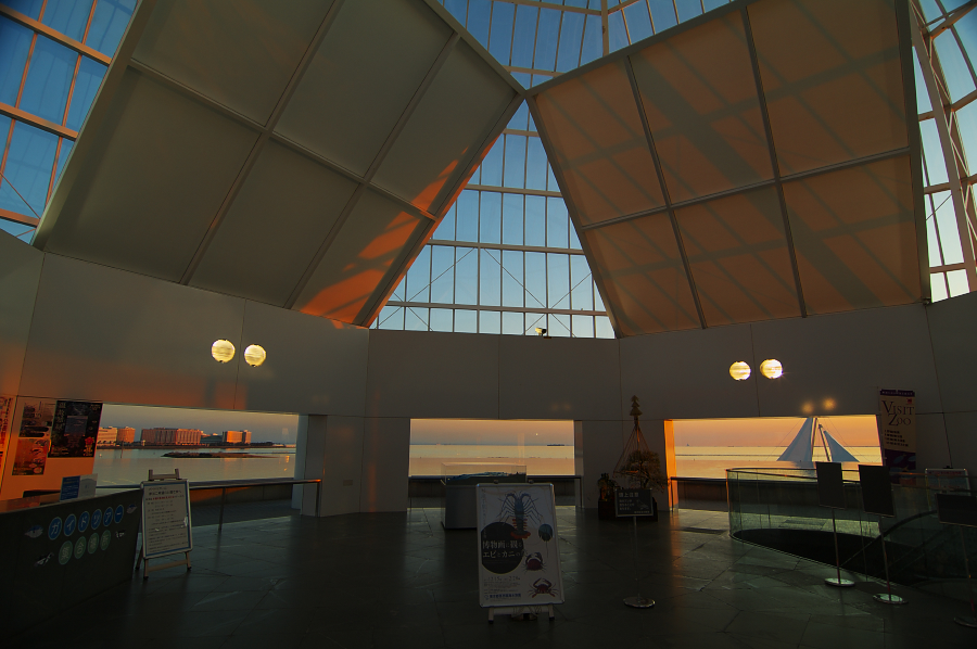 IMGP0157.jpg(517782 byte)