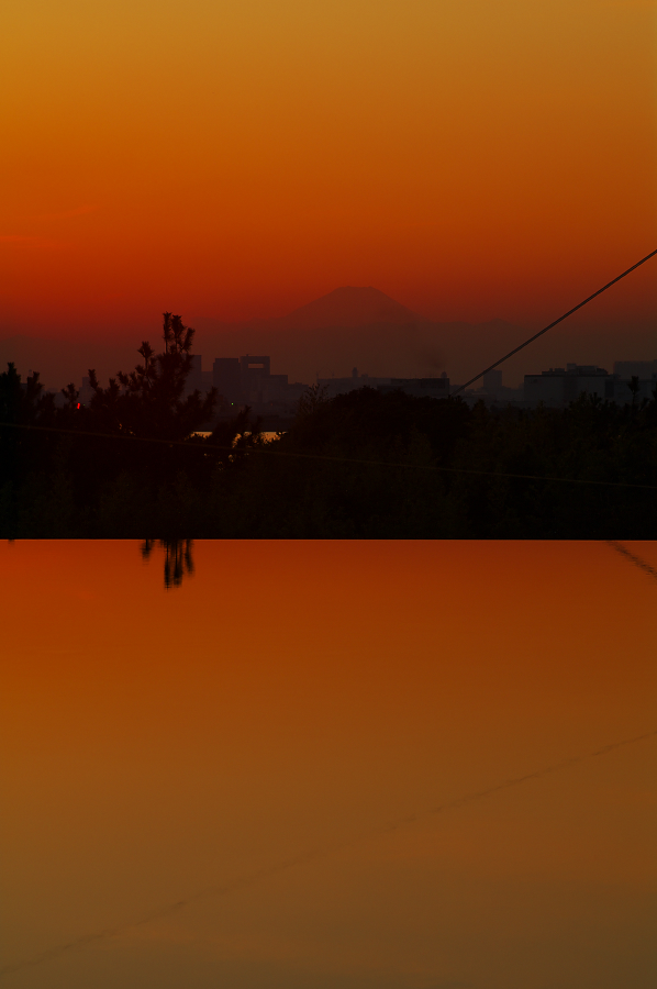 IMGP0198.jpg(373147 byte)