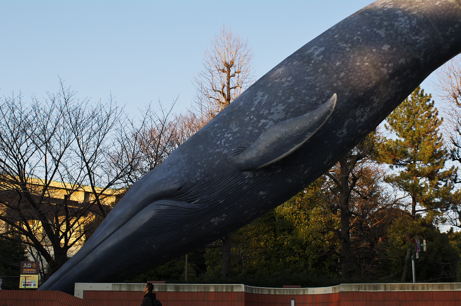 IMGP0017.jpg(408596 byte)