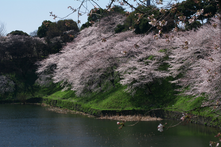 IMGP0012.jpg(462511 byte)