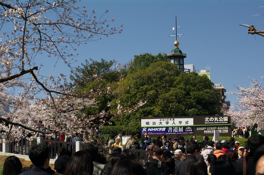 IMGP0017.jpg(466633 byte)