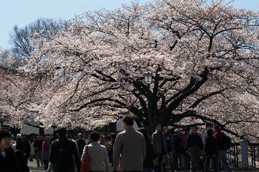 IMGP0032.jpg(600553 byte)