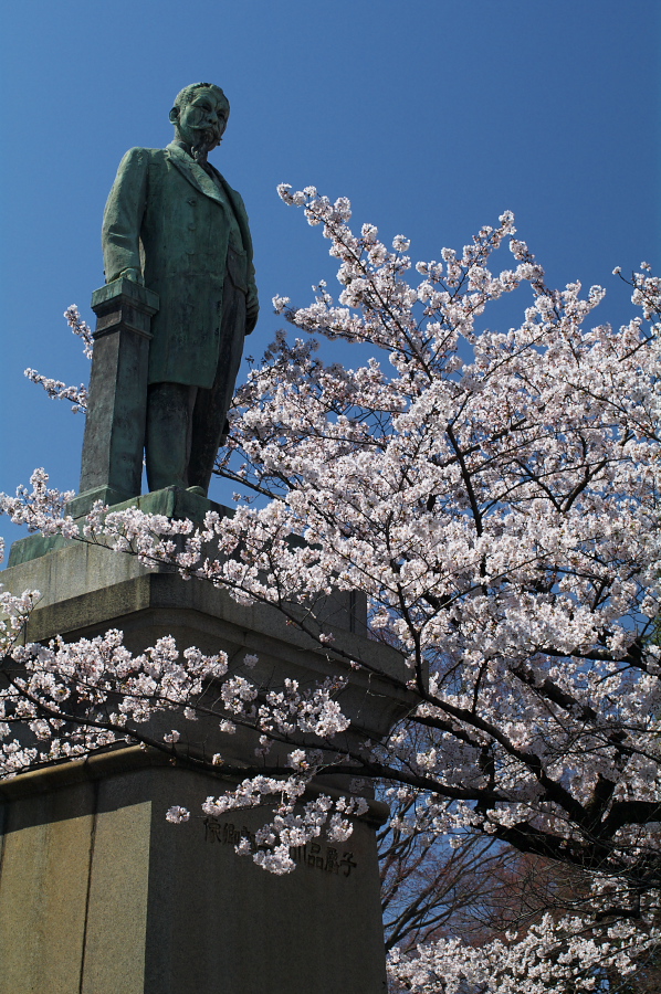 IMGP0037.jpg(469523 byte)