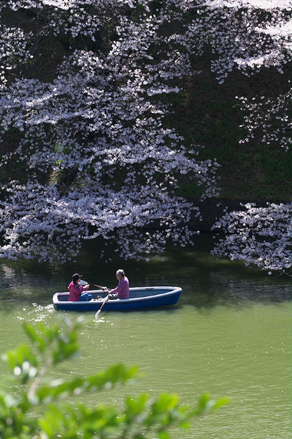 IMGP0044.jpg(448688 byte)