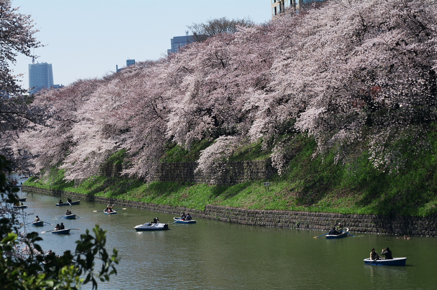 IMGP0048.jpg(490637 byte)