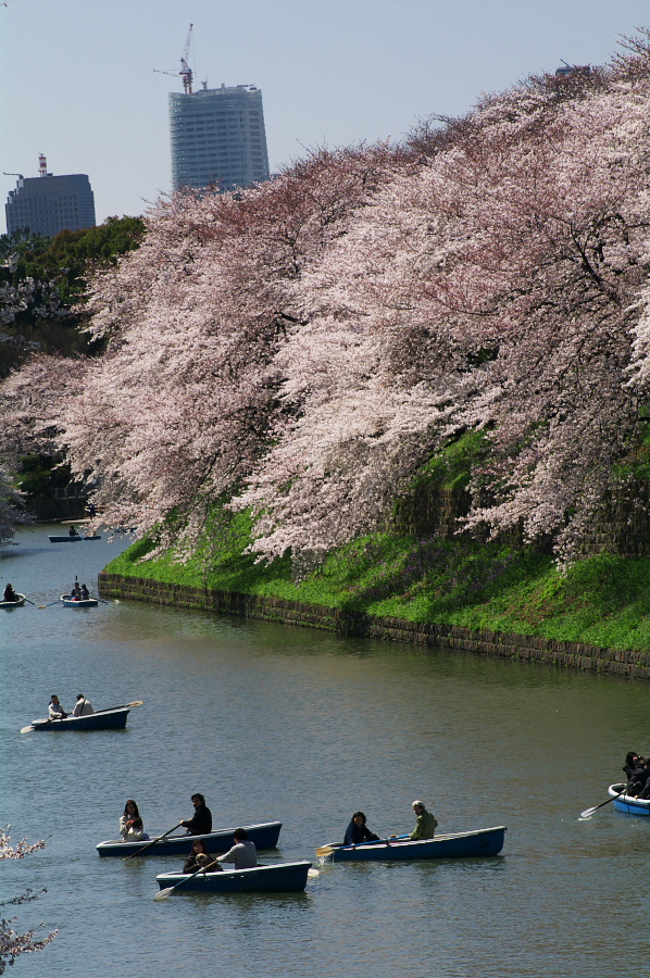 IMGP0066.jpg(479673 byte)