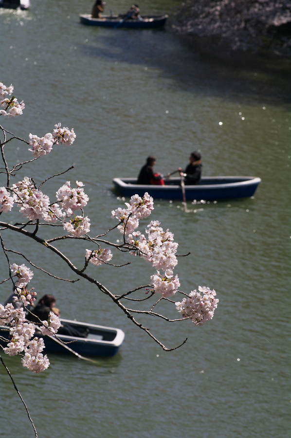 IMGP0073.jpg(275842 byte)