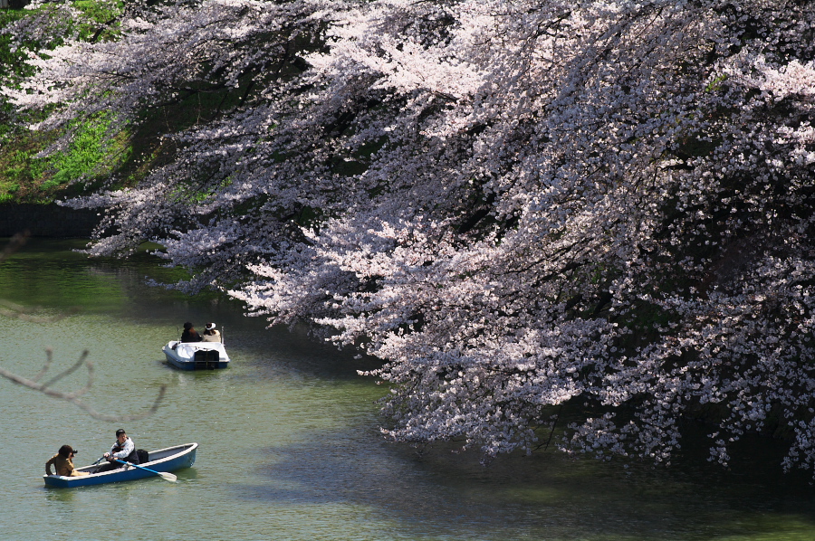 IMGP0076.jpg(541214 byte)