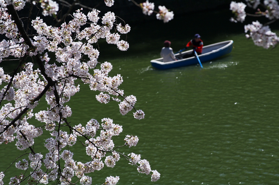 IMGP0083.jpg(380990 byte)