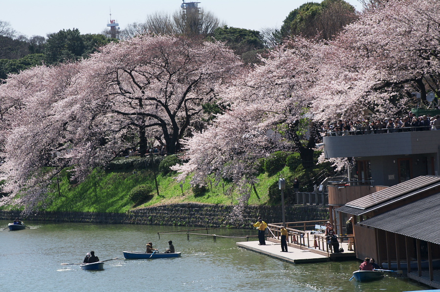 IMGP0090.jpg(524186 byte)