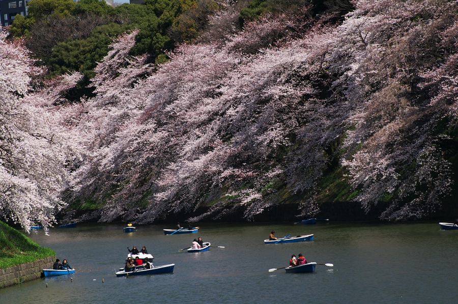 IMGP0100.jpg(529368 byte)