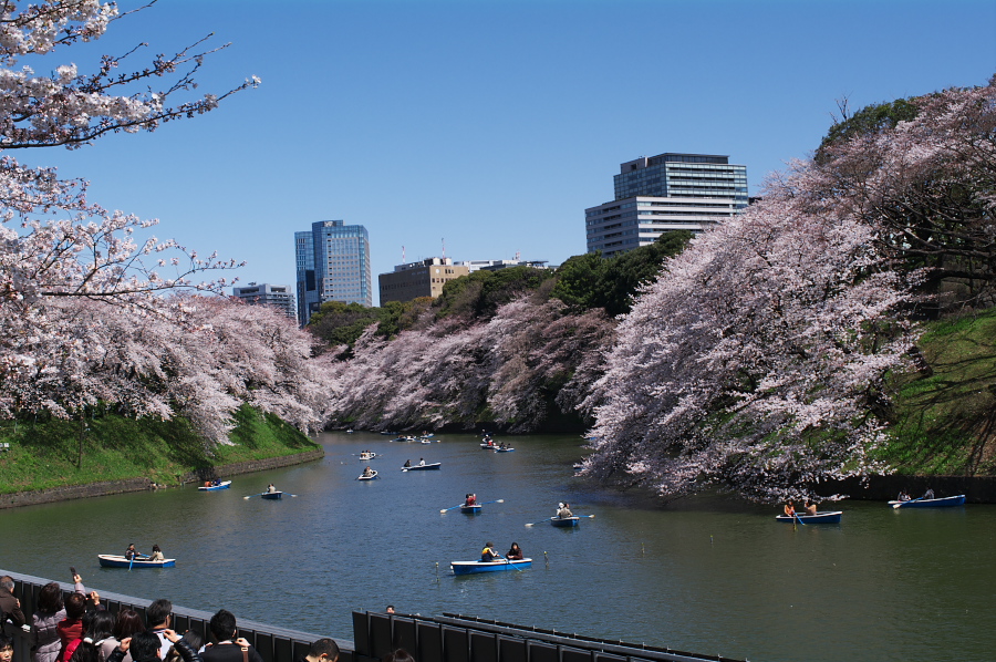 IMGP0123.jpg(414062 byte)