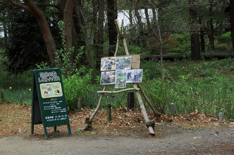 IMGP0140.jpg(534977 byte)