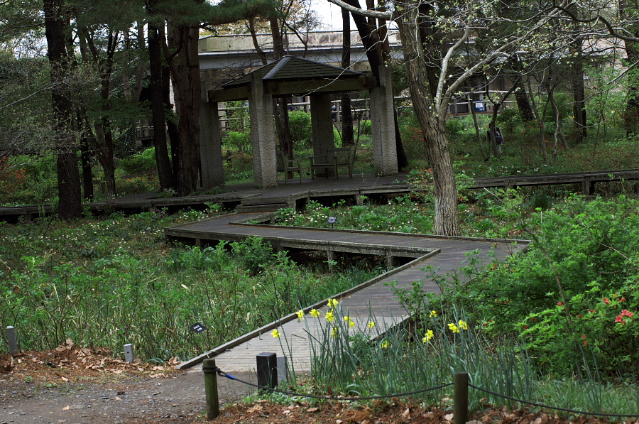 IMGP0141.jpg(570505 byte)