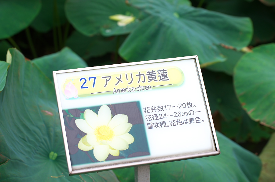 IMGP5995.jpg(199749 byte)