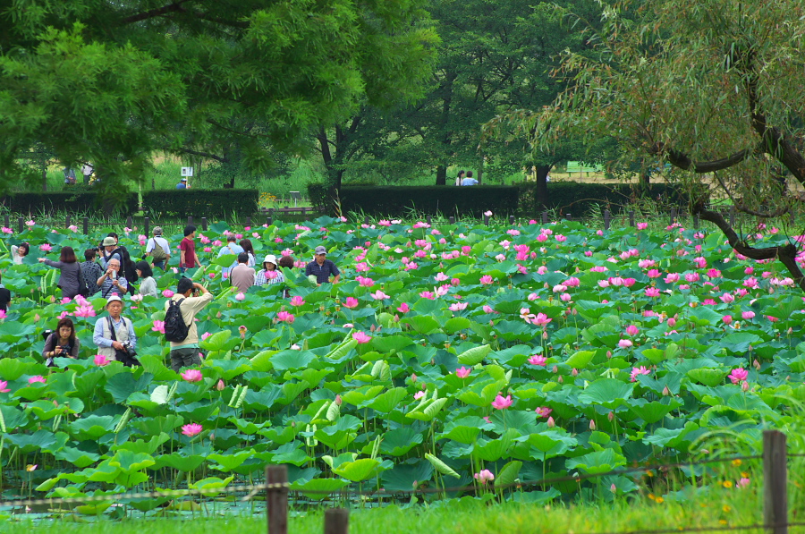 IMGP6007.jpg(562890 byte)