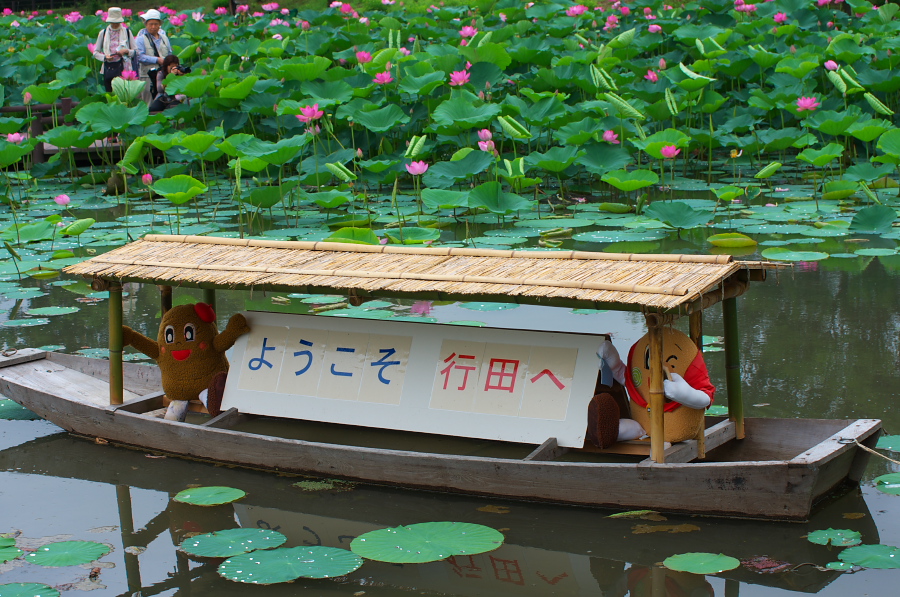 IMGP6009.jpg(450678 byte)